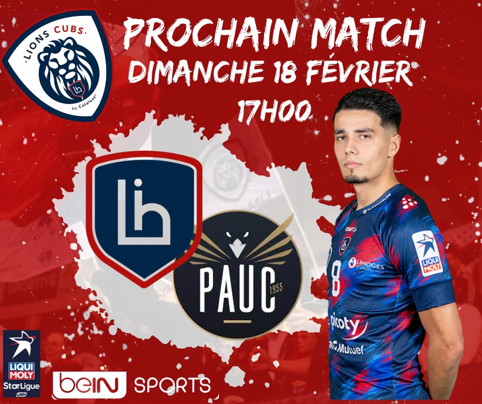 Lions Cubs (@lions_cubs) on Twitter photo 