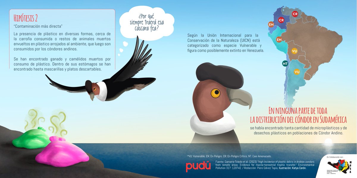 PUDÚ ilustrado tweet media