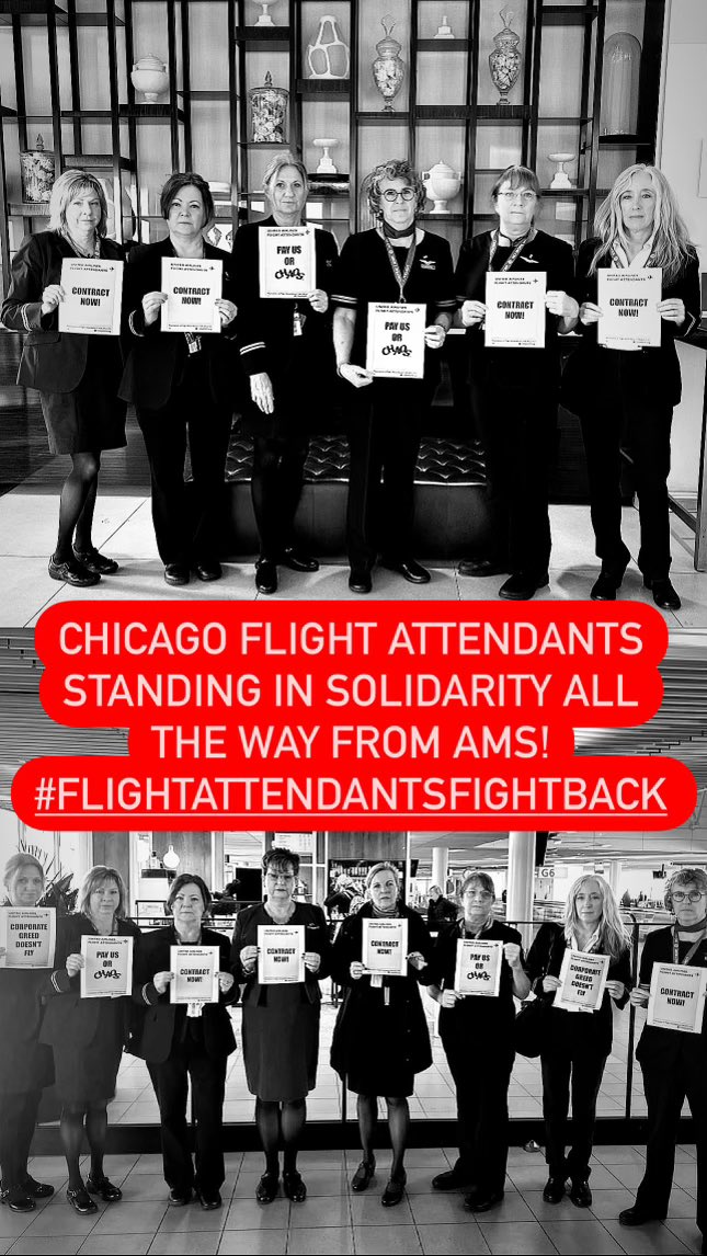 AFAUnitedMEC's tweet photo. The #SolidarityWave is on the move. From Australia to Amsterdam Flight Attendants are fighting back! #unionstrong #FlightAttendantsFightBack #ContractNow @afa_cwa @APFAunity @transportworker @AFAAlaska https://t.co/uTTt5GixeX