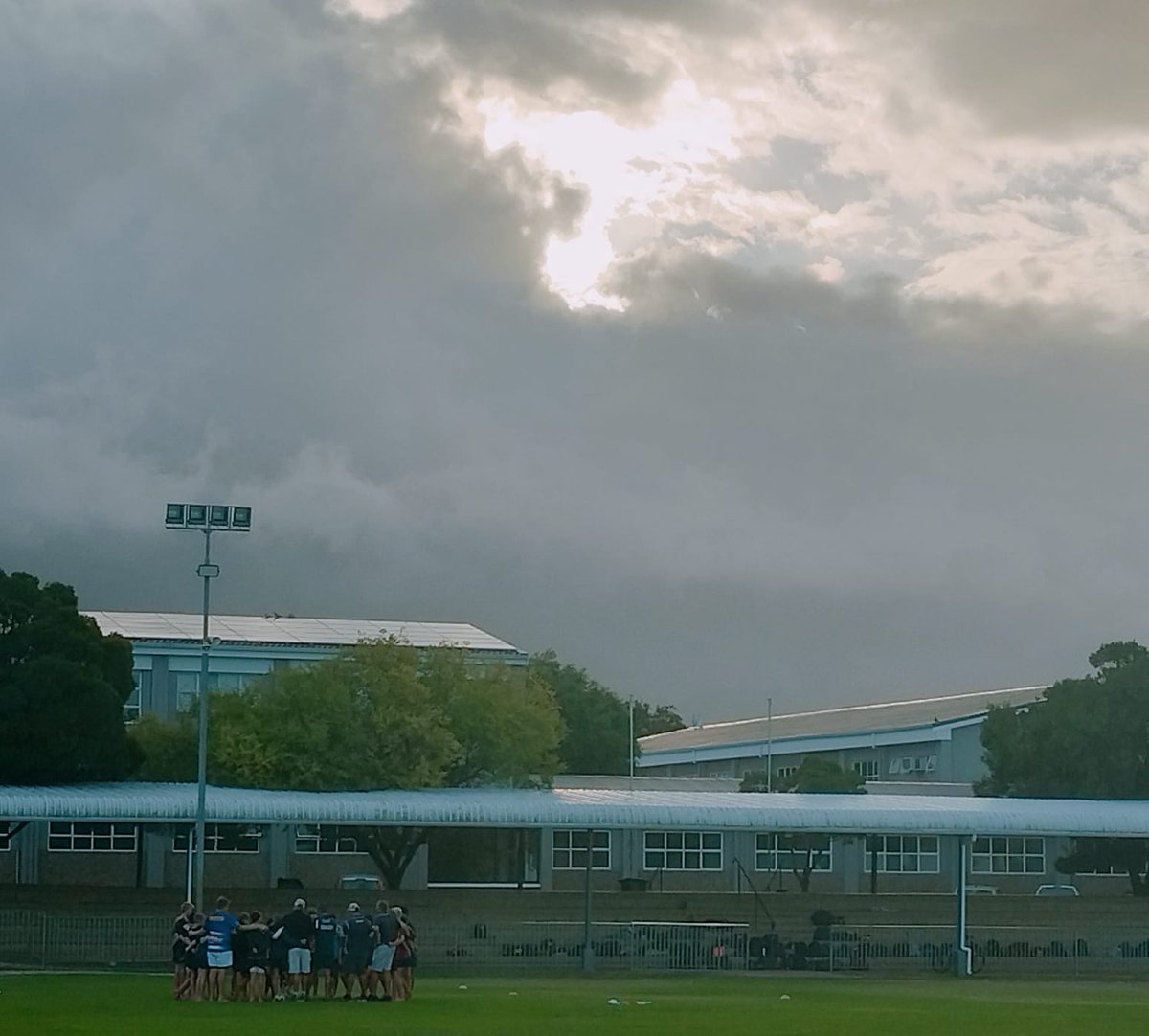 Blue Lions 2024 loading...