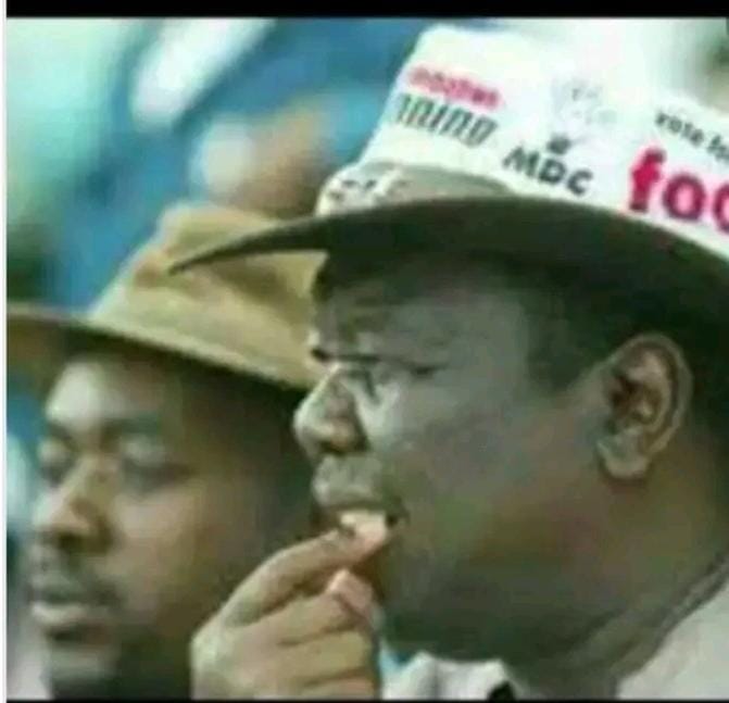 Promise Mkwananzi tweet media
