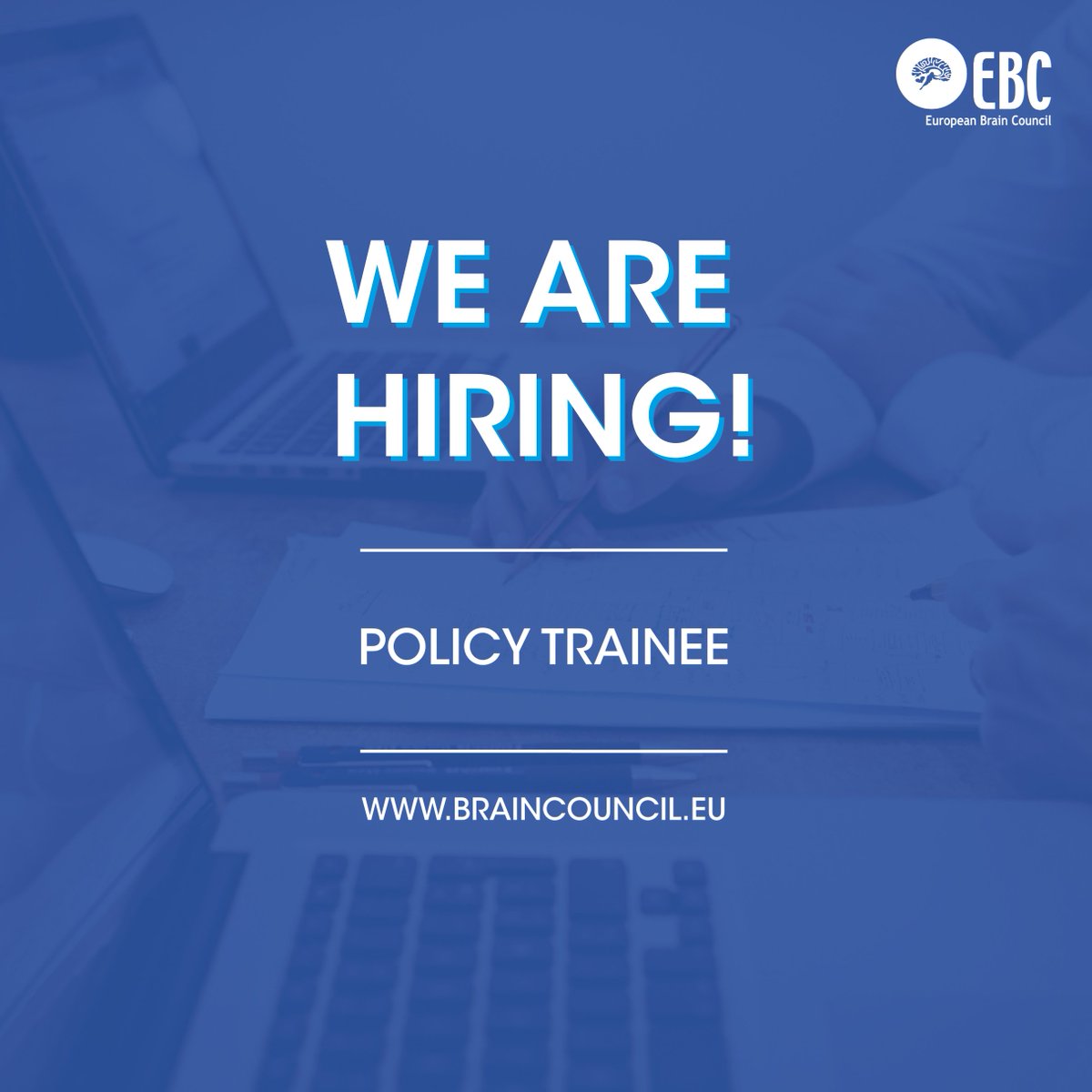 EU_Brain's tweet image. EBC is #hiring a policy trainee to join the Brussels office to support our policy monitoring efforts to feed into our core work.

The deadline to apply is 23 February ➡️ braincouncil.eu/about-us/oppor…