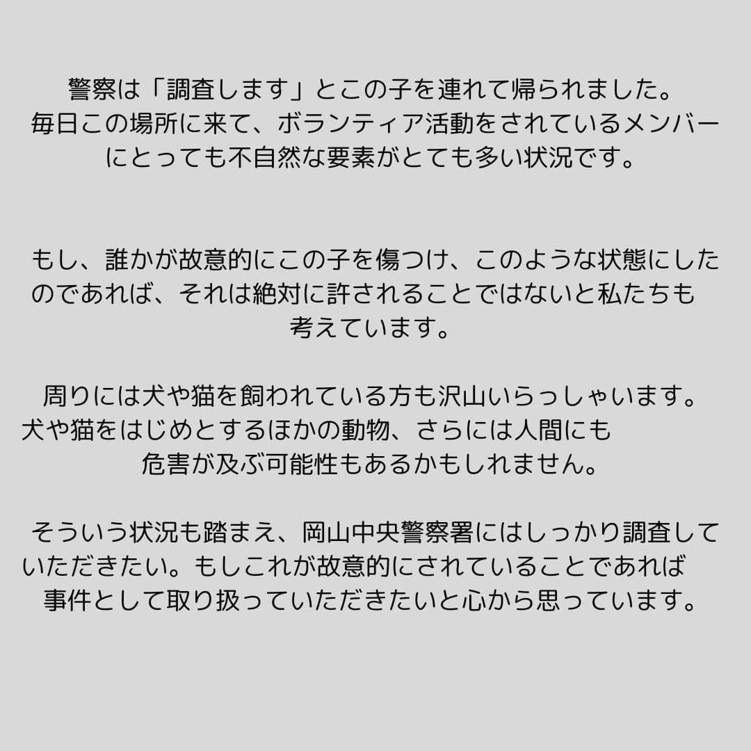 equallife_npo's tweet photo. ⚠️拡散宜しくお願いします。
岡山中央警察署にこの案件は届けています。

#拡散希望　#岡山県　#保護犬　#動物虐待 https://t.co/oSIWEuRESR