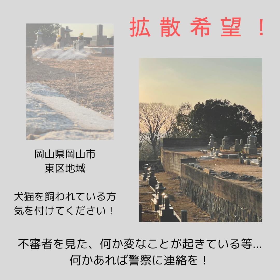 equallife_npo's tweet photo. ⚠️拡散宜しくお願いします。
岡山中央警察署にこの案件は届けています。

#拡散希望　#岡山県　#保護犬　#動物虐待 https://t.co/oSIWEuRESR