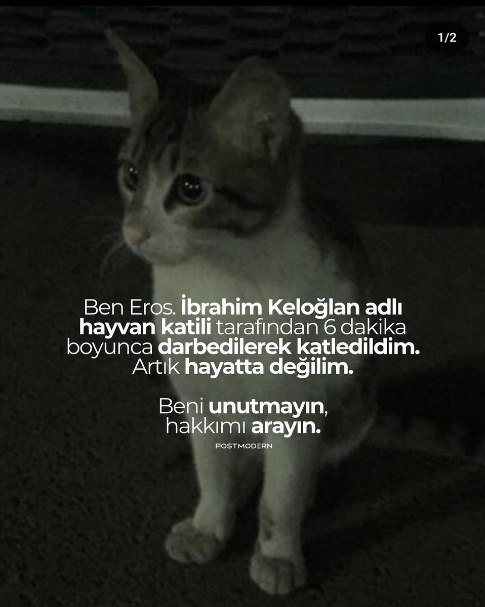 Yine twitirda adalet aradığımız bir gün,  bebek katilinin aramizda oldugunu unutmayin 
#ibrahimkeloğlantutuklansin