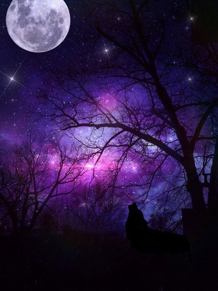 In the darkness of #night, we find the brightest #Stars and the deepest #Truths.

Good Night all #Respectable #Followers!