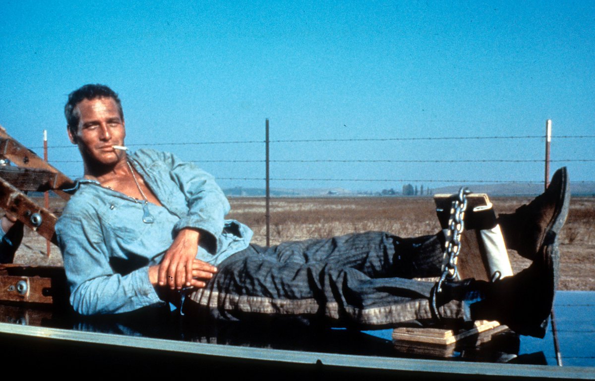 Inverness Film Fans (@infifa) on Twitter photo Tickets are selling fast for our next screening, Cool Hand Luke.
Join us on the 27th of February, 7:15pm <a href="/EdenCourt/">Eden Court Highlands</a> 
Ticket link below  📷
eden-court.co.uk/event/cool-han… Tickets are selling fast for our next screening, Cool Hand Luke.
Join us on the 27th of February, 7:15pm <a href="/EdenCourt/">Eden Court Highlands</a> 
Ticket link below  📷
eden-court.co.uk/event/cool-han…