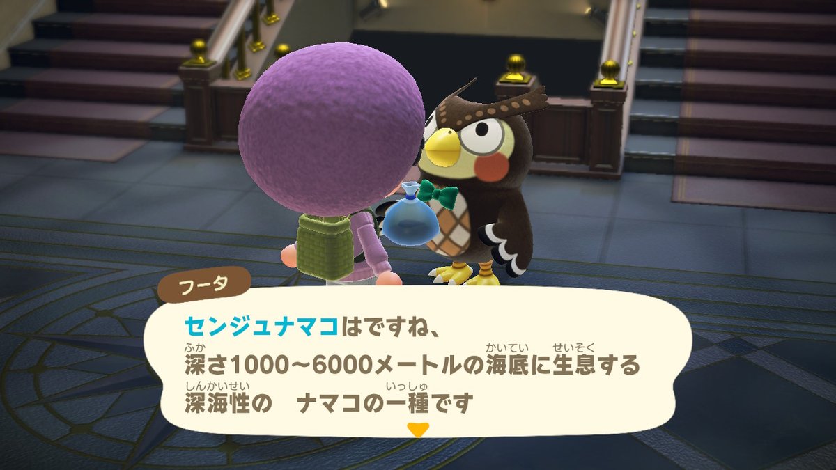 mosarn05a's tweet photo. 1000���ートル？素潜りでとってきたんですけど…。

 #どうぶつの森 
#AnimalCrossing 
#ACNH 
#NintendoSwitch https://t.co/d0rQbWbu7a