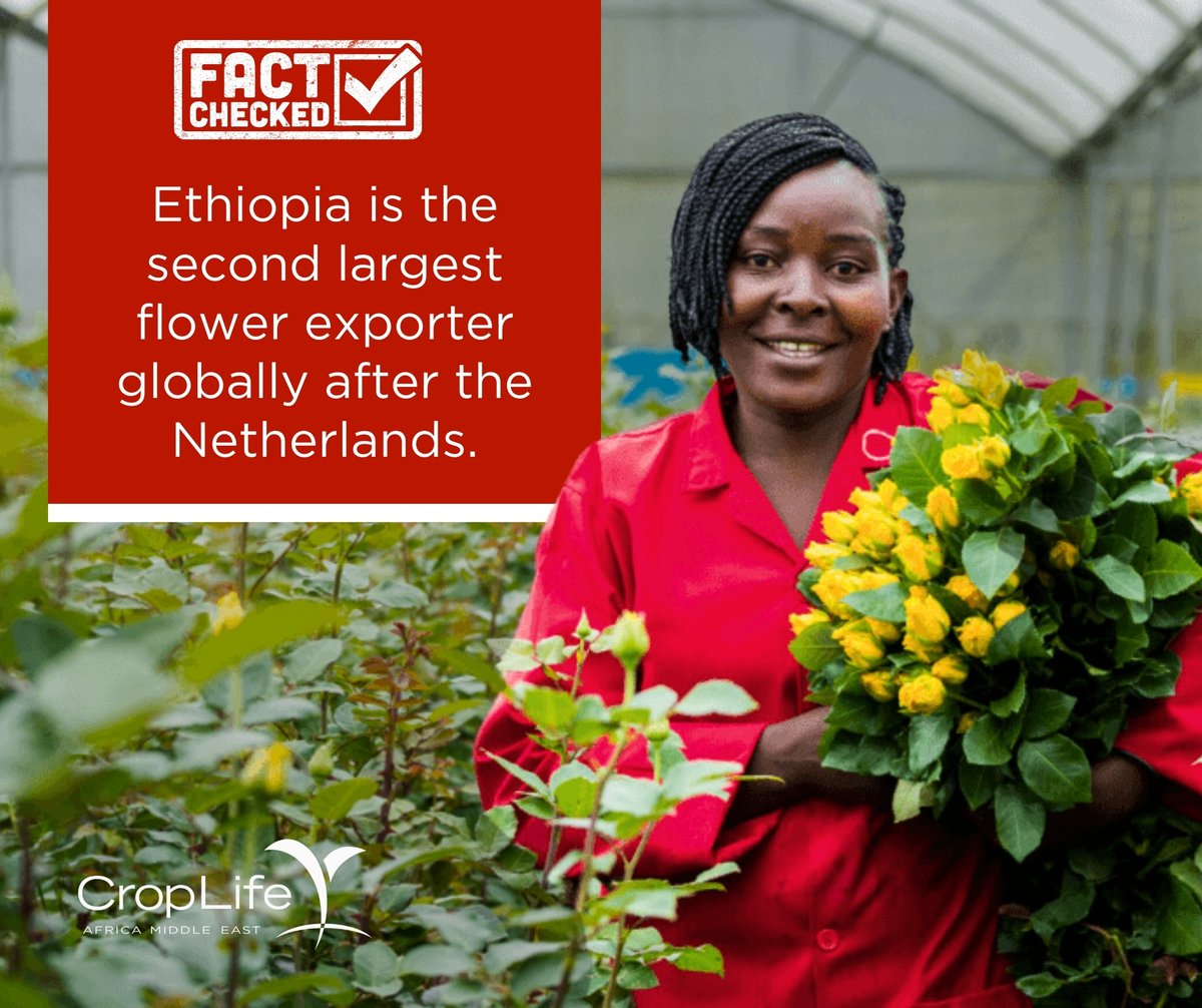 CropLife Africa Middle East tweet media