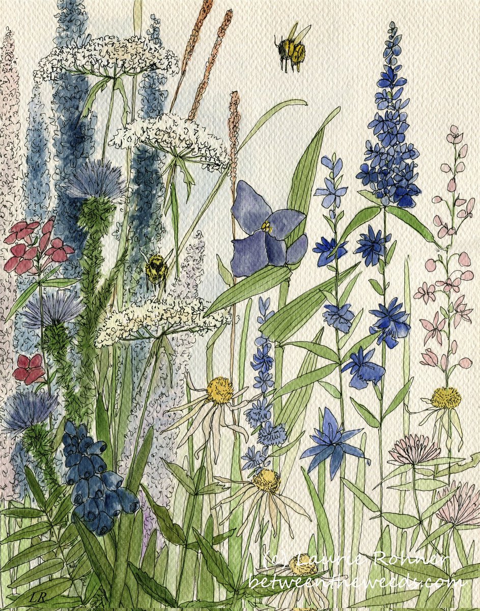 laurierohner's tweet photo. Laurie Rohner Studio/Between The Weeds on Google
https://t.co/yP7yKLHSNS https://t.co/ebjHjL4NVc