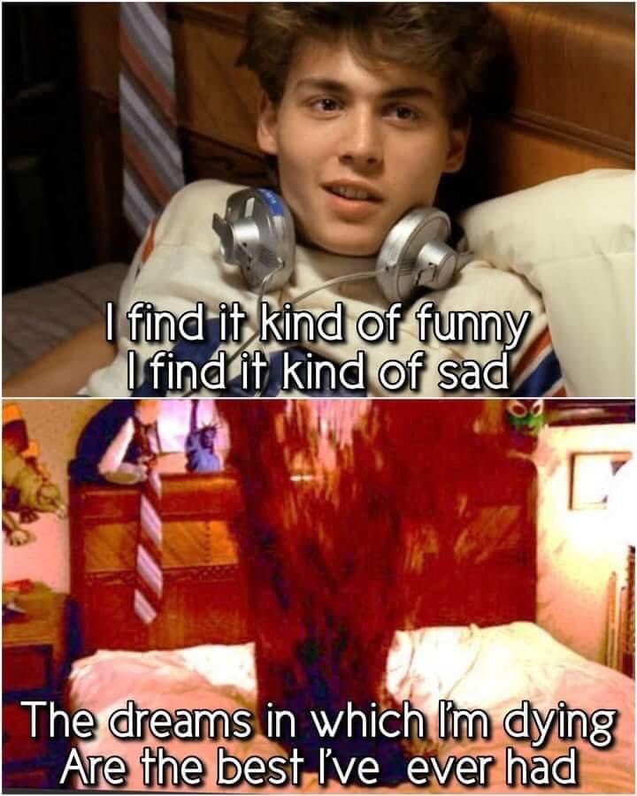 hauntedreigns's tweet image. 💤🩸