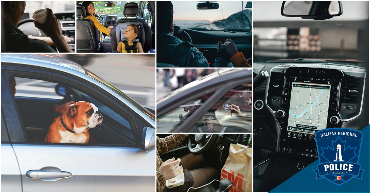 HfxRegPolice's tweet photo. Did you know that #AvoidingDistractions includes more than the use of cell phones? Any activity aside from focusing on the road is a distraction. Be alert, be ready & be safe. #SteerClear of distractions. https://t.co/wKw1OqGmSM