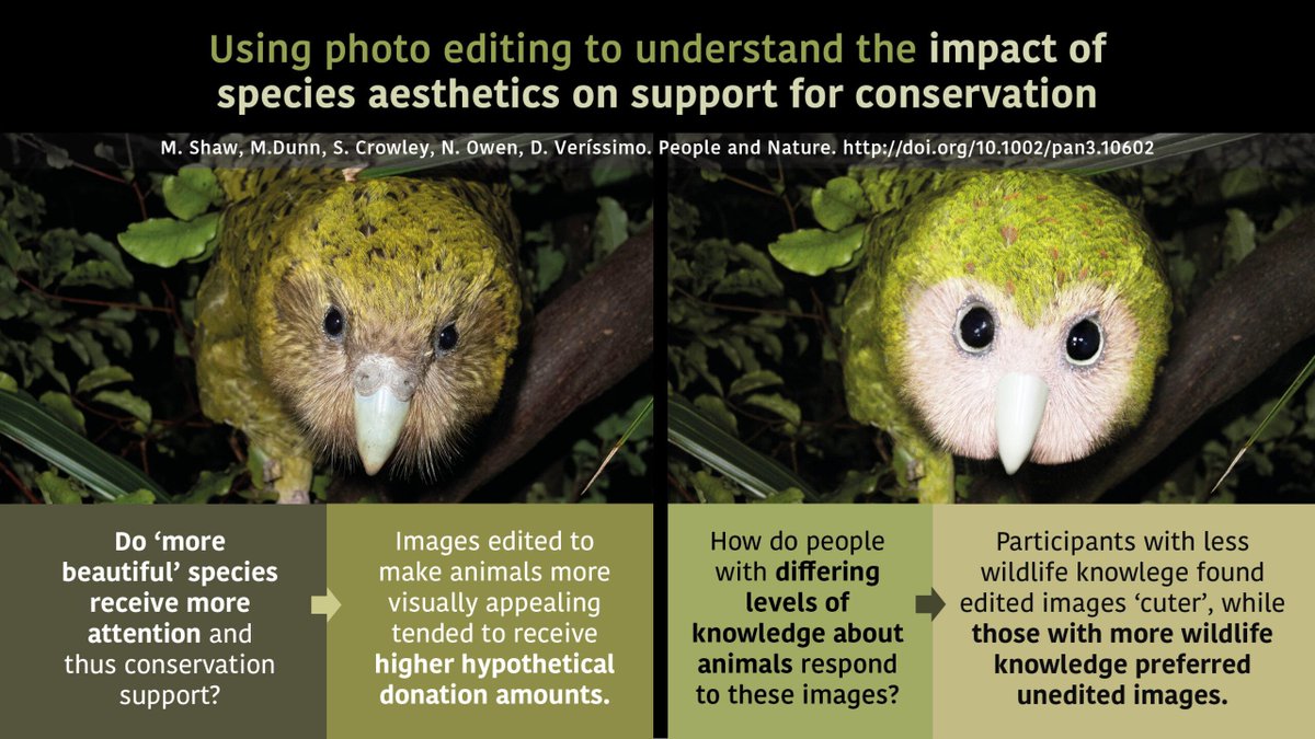 BioGroupers's tweet photo. "The beauty bias", TBG has battled for years with attractive species receive more attention than less visually appealing ones. Check out their paper below to see why taking quality photographs of Life Overlooked is so impactful!

https://t.co/fWYnFy2AXl https://t.co/jhtLp5so33