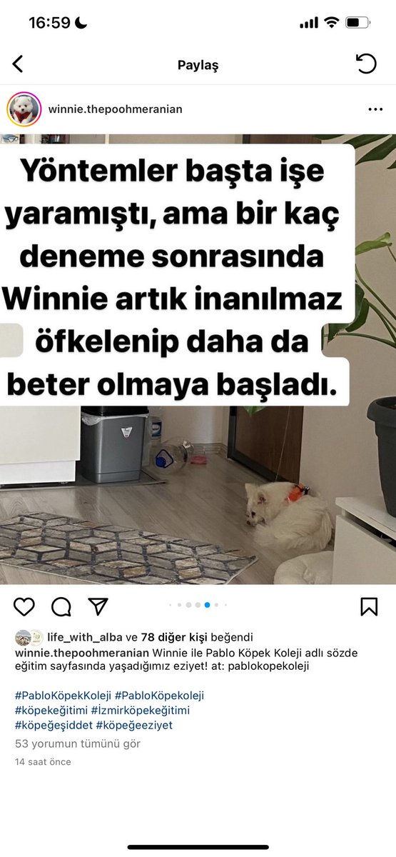ecevonaz's tweet photo. şaka mı bu? bağla demişler, bağlamış. vur demişler, vurmuş. ağzına burnuna sirke sık demişler, sıkmış. biber sür demişler, sürmüş. insan bir durup ben napıyorum diye düşünmez mi? bu nasıl bir aymazlık? https://t.co/LwN70ynLEl