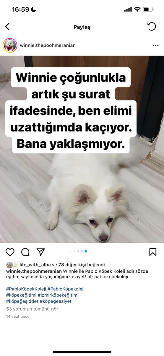 ecevonaz's tweet photo. şaka mı bu? bağla demişler, bağlamış. vur demişler, vurmuş. ağzına burnuna sirke sık demişler, sıkmış. biber sür demişler, sürmüş. insan bir durup ben napıyorum diye düşünmez mi? bu nasıl bir aymazlık? https://t.co/LwN70ynLEl