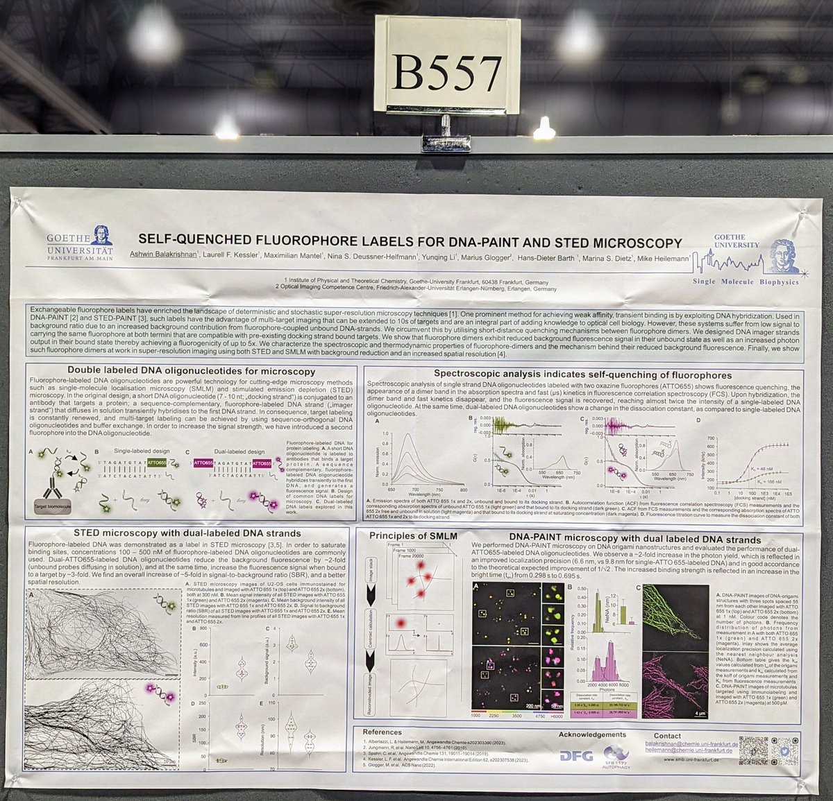 Ashwin Balakrishnan (@ashwin0512) on Twitter photo Excited to present our work at <a href="/HeilemannLab/">HeilemannLab (👉🏻 heilemannlab.bsky.social)</a> on self-quenching fluorophore dimers in DNA-PAINT at BPS2024, feel free to visit me at poster B557 today #BPS2024 Excited to present our work at <a href="/HeilemannLab/">HeilemannLab (👉🏻 heilemannlab.bsky.social)</a> on self-quenching fluorophore dimers in DNA-PAINT at BPS2024, feel free to visit me at poster B557 today #BPS2024