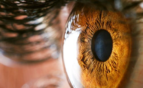 touchOPHTHALMIC's tweet photo. Delve into the impact of dietary interventions on #VisualHealth in patients with #Glaucoma
This review examines how various diets can affect glaucoma and sheds light on the potential epidemiological implications of dietary intervention.
https://t.co/LKy8e8IgEE https://t.co/fWQyZd4fB3