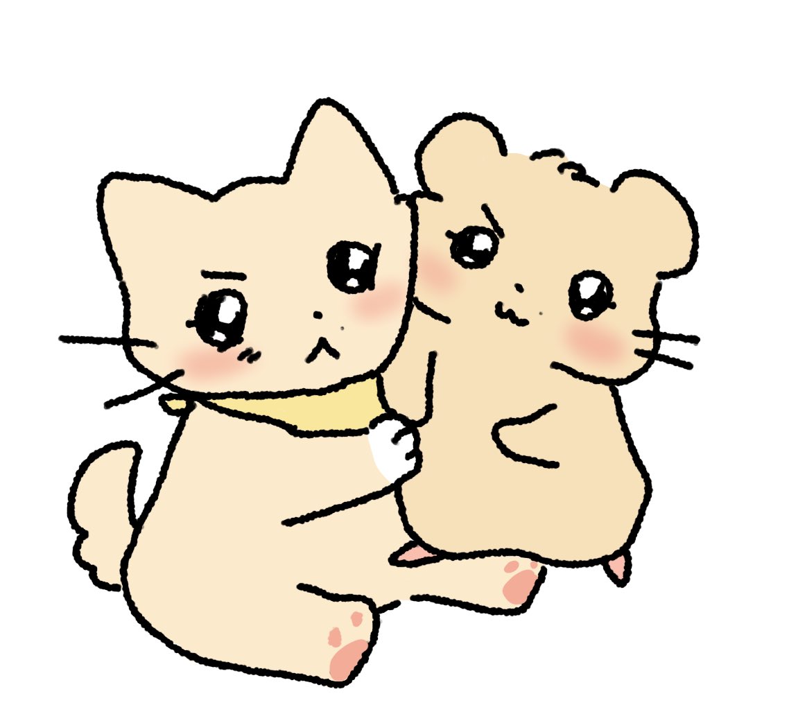 혹시 시간 있으세요?
괜찮다묜 한번만 쓰다듬어줄 수 있나요? (빤히…)