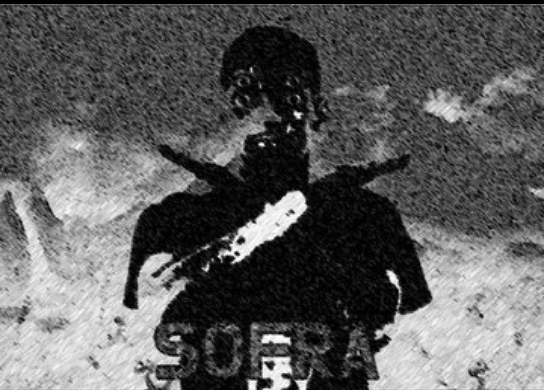 Spinning Chickens tweet media