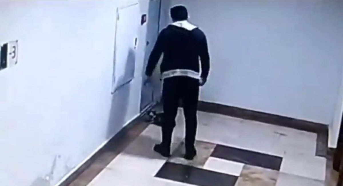 Mavi 🐾🦋🫧 tweet media