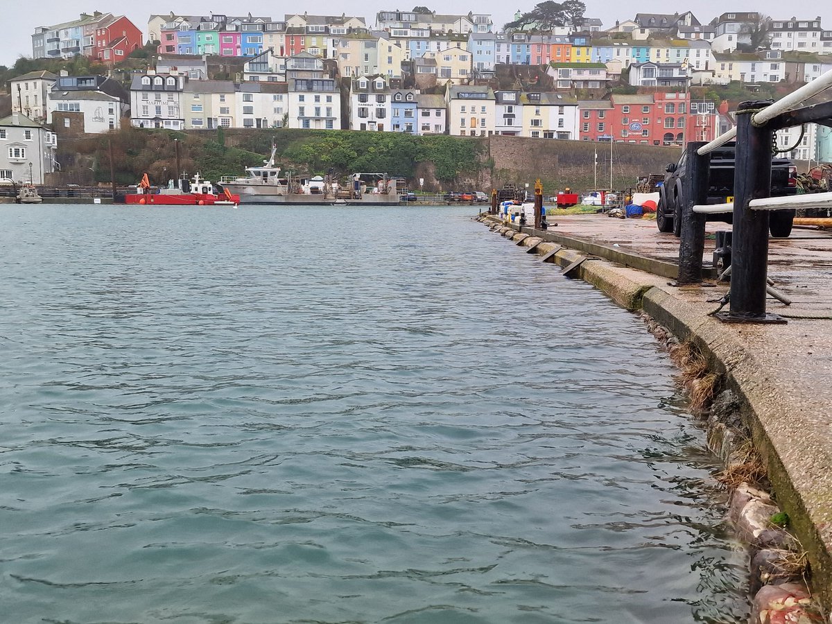 Super high springtide at Brixham this morning
#goldenhind #Brixham #lovebrixham #englishriviera #torbay #harbour #fishingharbour #fishingport #springtide #hightide #oldmarkethouse #Devon #southwest #southwestengland #visitdevon #guidedtour #tourguide