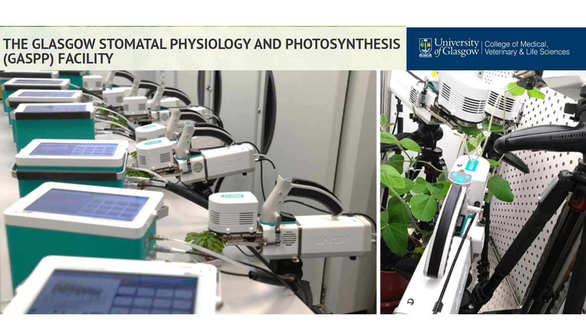 AnnaAmtmann's tweet photo. CO2-water.. The ultimate guide to gas exchange measurements in plants. Worldwide expertise collated by Maria Papanatsiou.
https://t.co/tmgNUYsz7Q
Do you want to measure gas exchange but don't have the equipment? Our GasPP Facility at Uni Glasgow can help. 
https://t.co/KJdhnBwhlv https://t.co/6l742LNyTQ