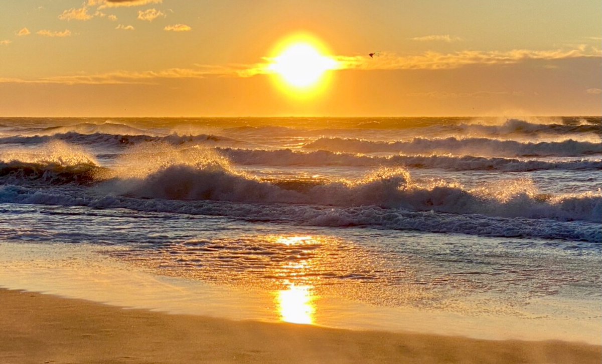 AdLibs4Hire's tweet photo. Gusting to 40💨@NWSWilmingtonNC @medwick @TVsGabeRoss @ericdavisWECT @EllaTanseyWECT @WWAYWx @LeeHaywoodWX @helenholt123 @BurgawWx @wralweather @mazewx66 @katcampbellwx @Renagarcia1312 @___nwahs___ @LVPXN @michael_praats @RRayMcAllister @sweatsntopknots @wralbleslie #GotWind? https://t.co/tHdDLklFg9