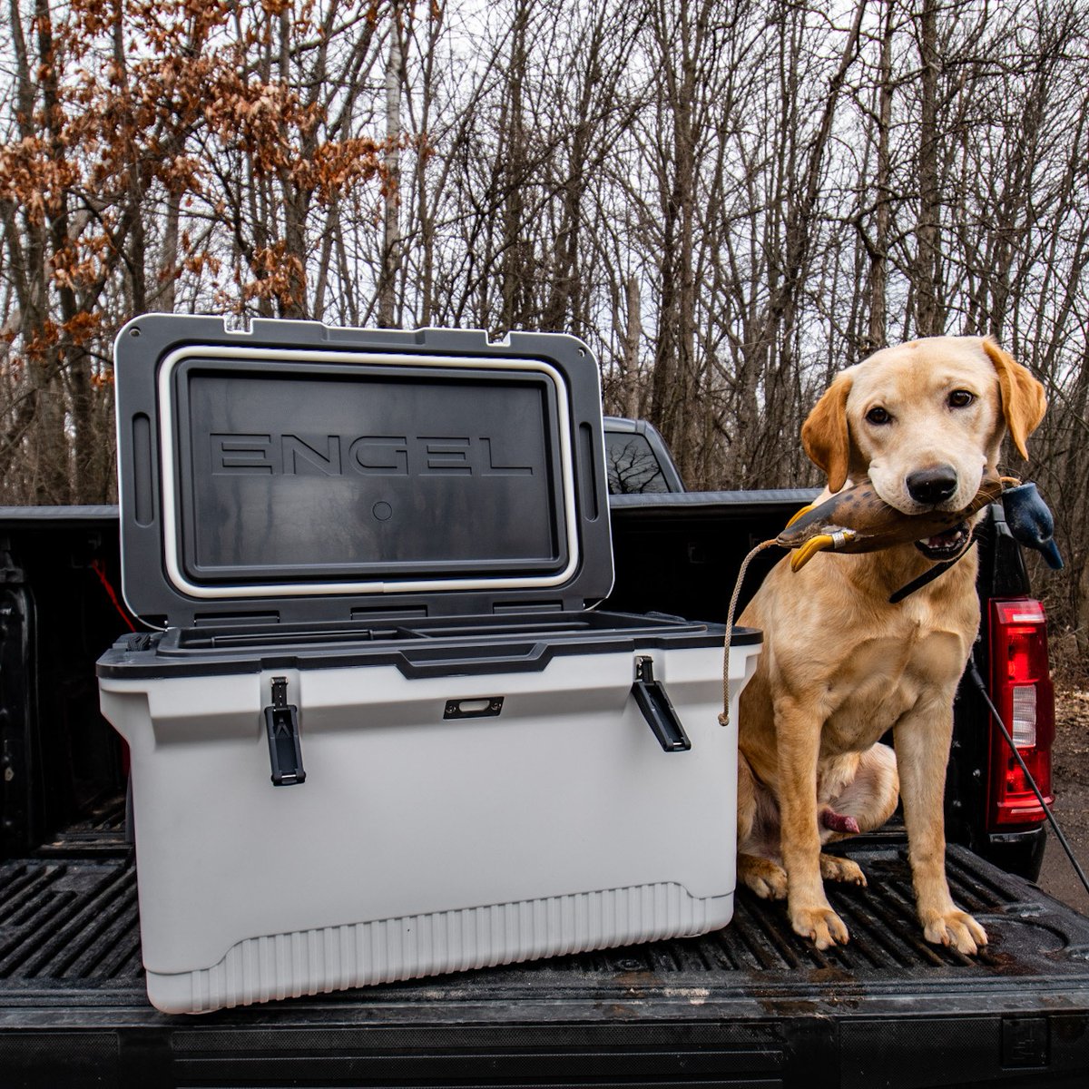 EngelCoolers's tweet image. Two faithful companions in one shot. One very good game dog and our new Ultralite UL60 injection molded cooler - guaranteed performance from both: bit.ly/49hkT15
.
Great photo from @hardwaterfreaks 
#UL60 #injectionmolded #ultralite #ultralitecooler