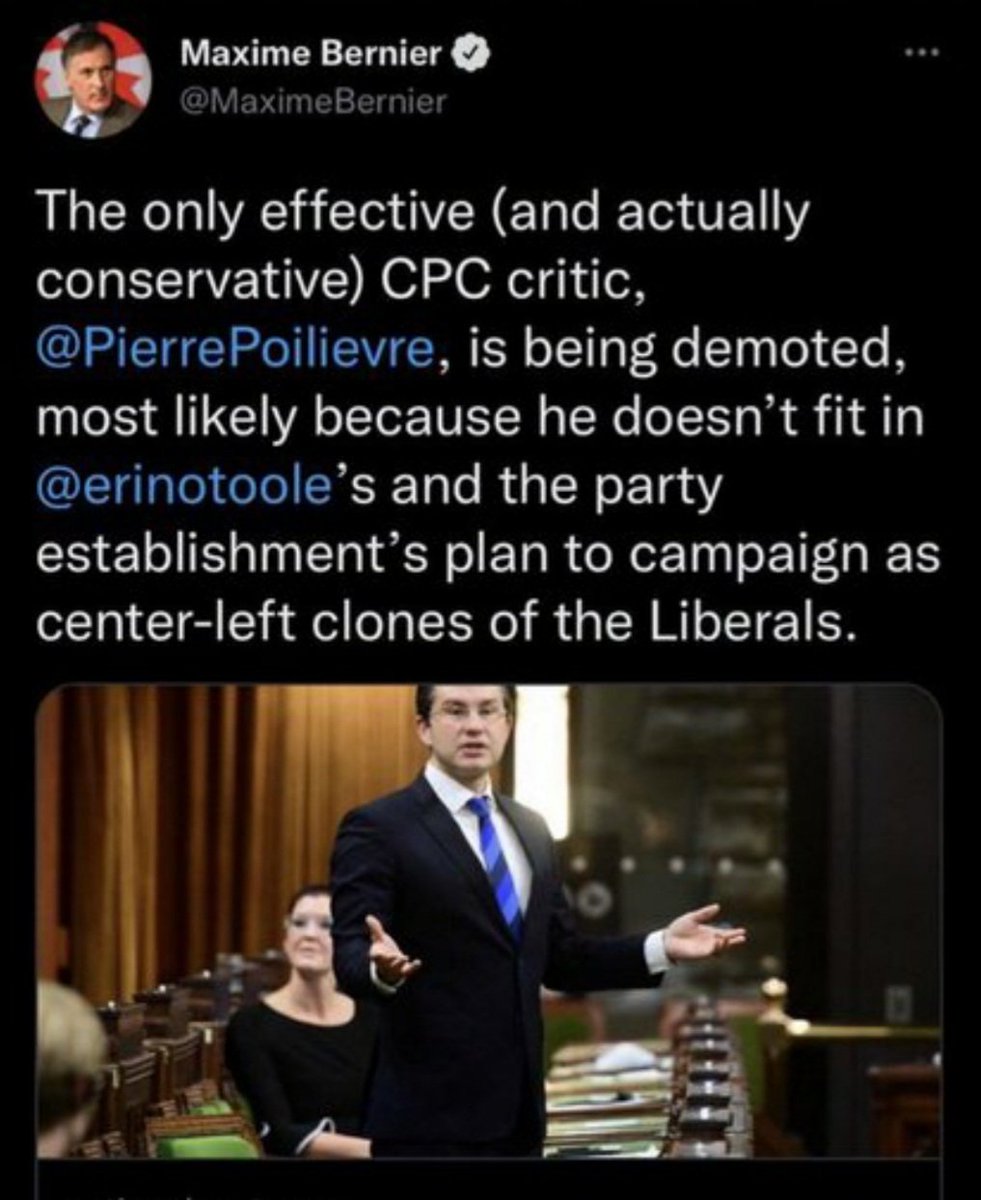 DayPrsnt's tweet photo. @bard_susanne Max said Pierre was a real Conservative right up until the very day Pierre became a threat to Trudeau.... Weird.
#PPCFraud https://t.co/KGaTolTXvH