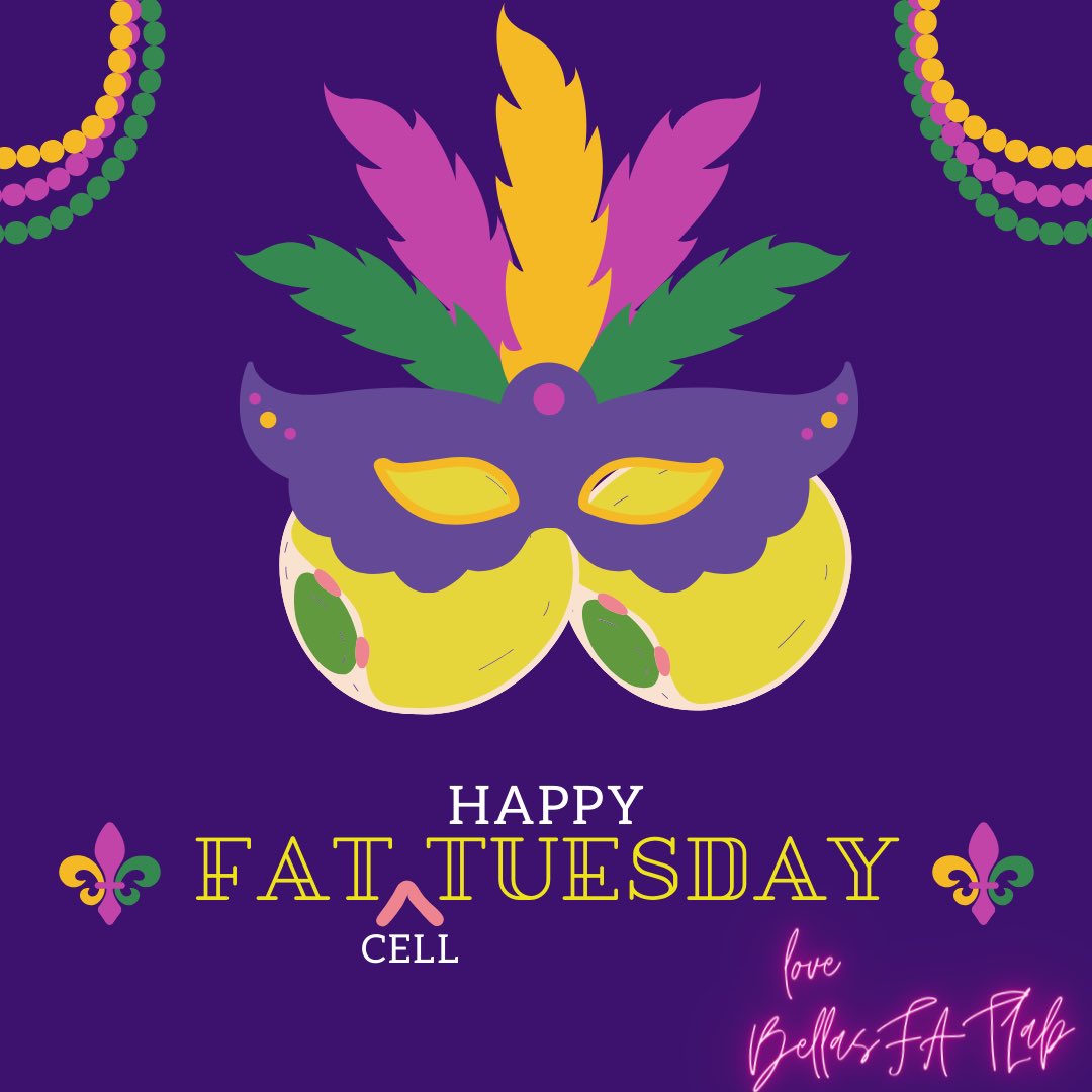 BellasFATLab tweet media