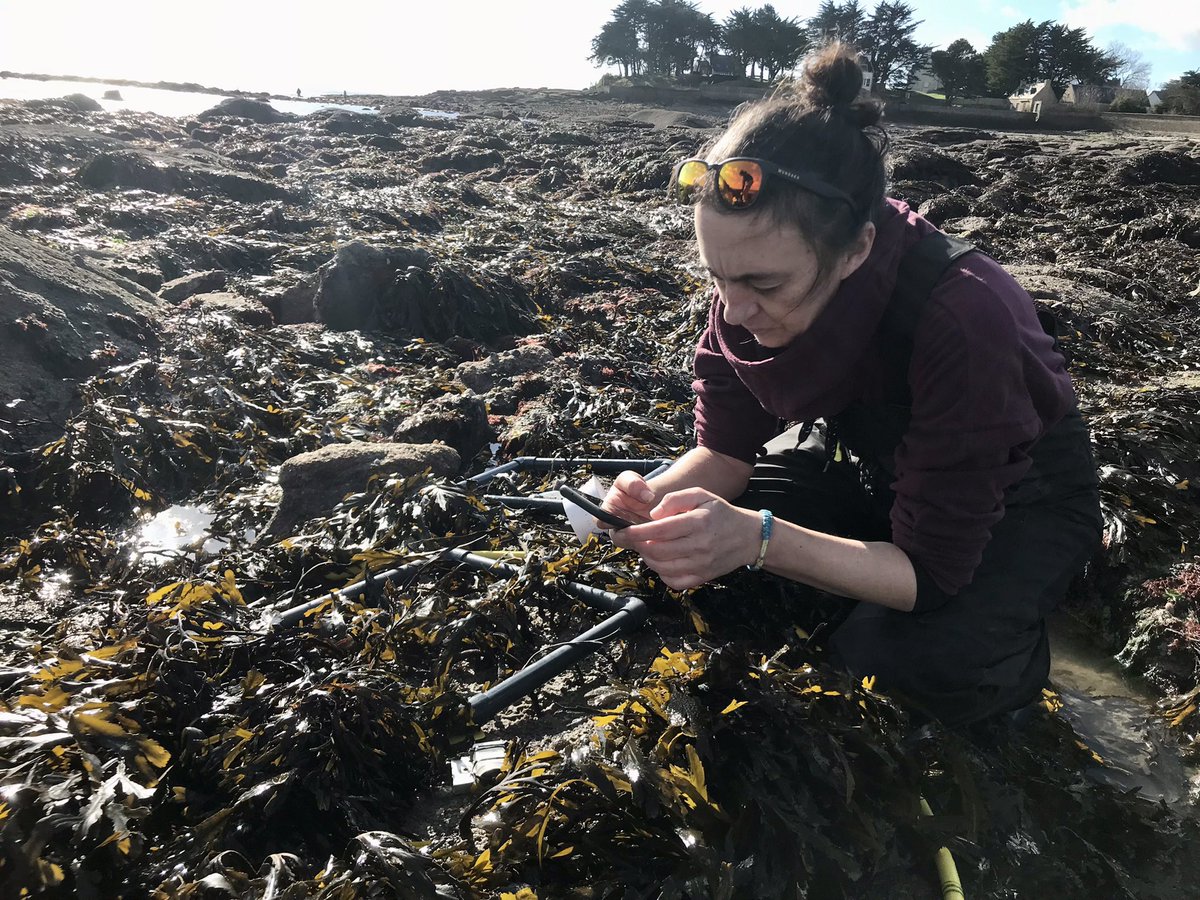 Amelia Curd tweet media