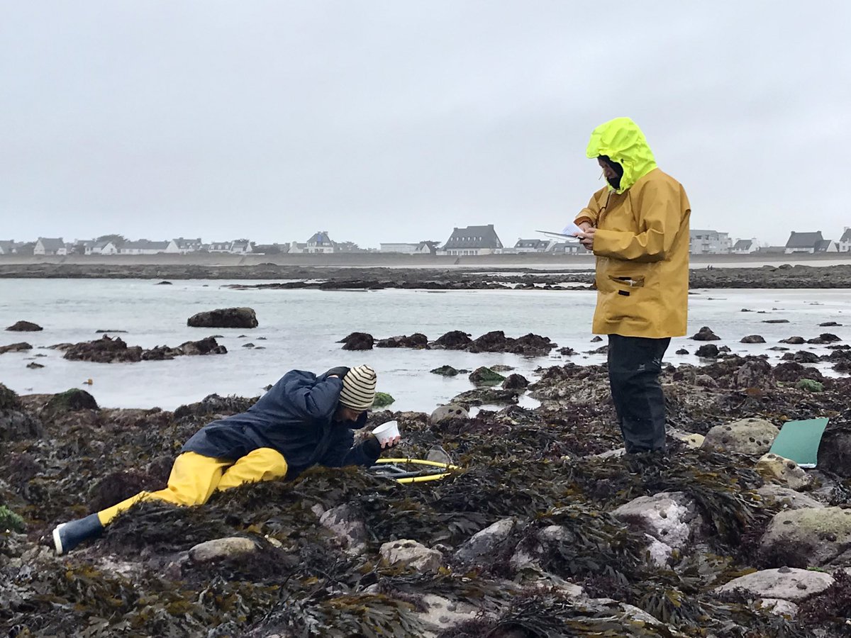 Amelia Curd tweet media