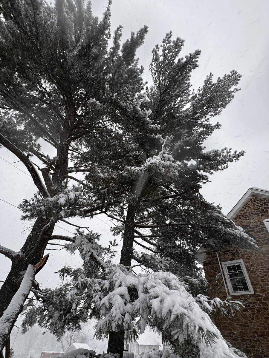 Lizz Nagle tweet media