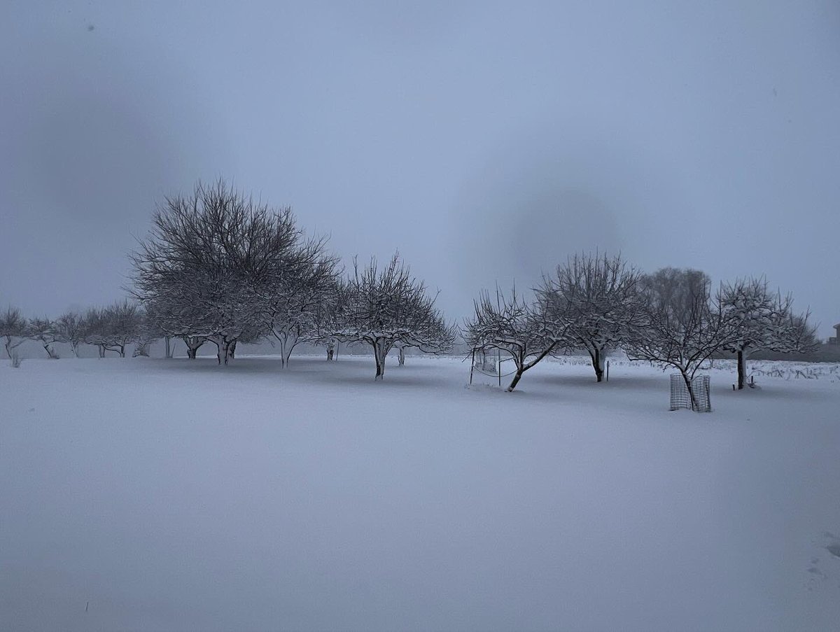 Lizz Nagle tweet media