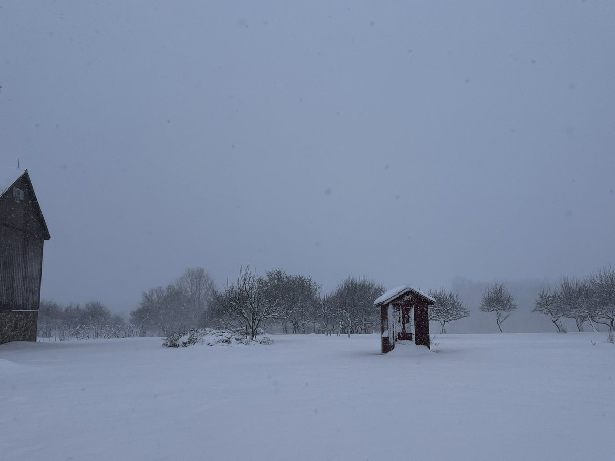 Lizz Nagle tweet media