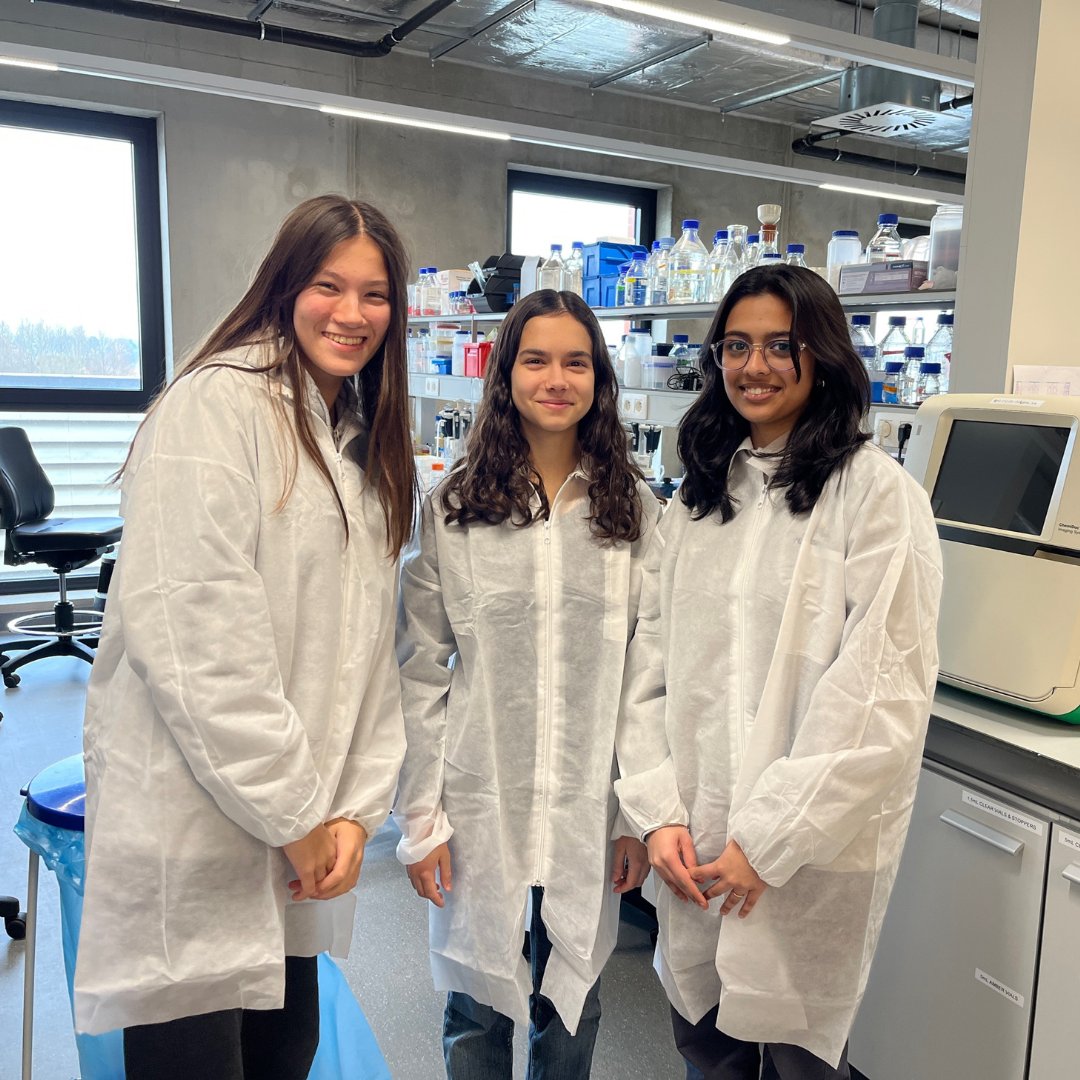 The British School tweet media