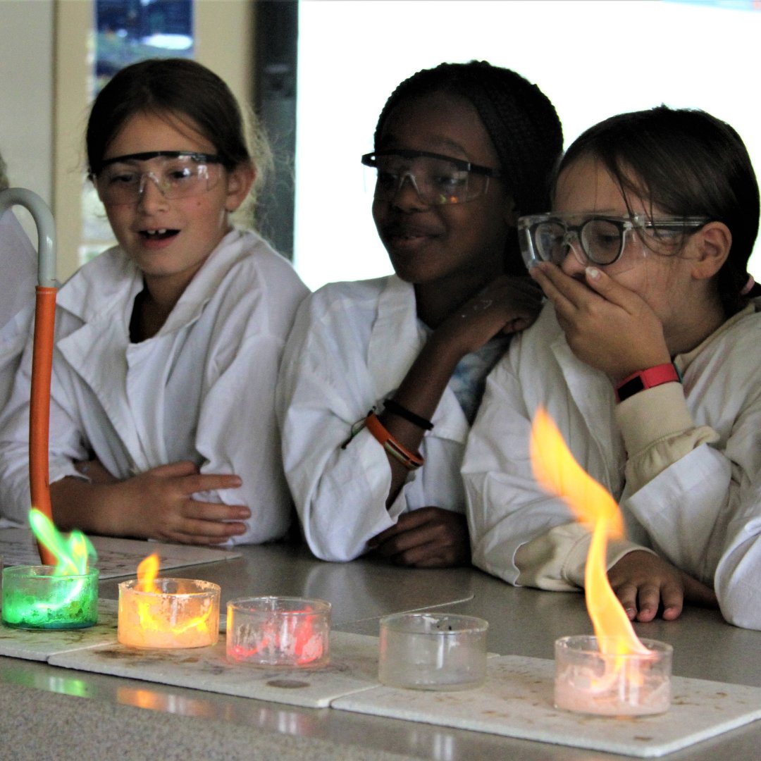 The British School tweet media