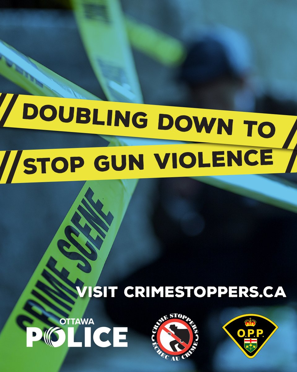 CrimeStoppersOT's tweet photo. National Capital Area Crime Stoppers is Doubling Down To Stop Gun Violence 

As of Feb 12th rewards will be doubled if it leads to the arrest or charges of anyone responsible for committing a shooting. 

Report anonymously - 1800-222-8477 or go to https://t.co/wN9G9mqOXq https://t.co/3PiYJESy9i