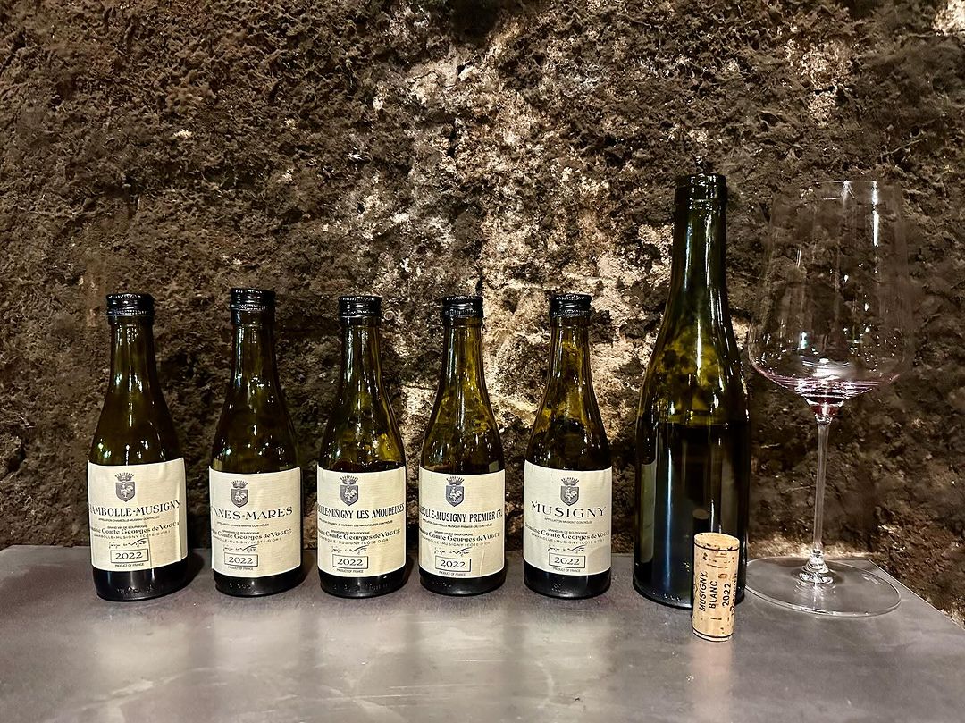 JeannieChoLee's tweet photo. One of the highlights of my tasting week in Burgundy is this 2022 Vogue Musigny — sublime, complete and incredibly persistent!
#musigny #grandcru #chambollemusigny #burgundy #bourgogne #wine #winetime #winetasting #winelover #masterofwine #winelife https://t.co/wFX6EFNVys