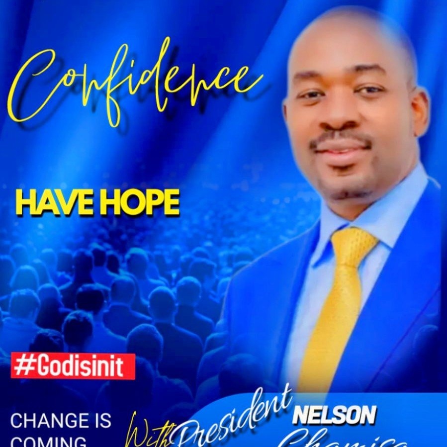 ChibwaM's tweet photo. #NewProfilePic https://t.co/VJFOHkGIMb