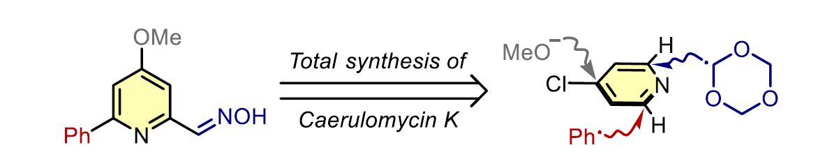 Valerio Fasano (@valeriofasano) on Twitter photo ⚗ A RADICAL CHANGE! The first 3-steps total synthesis of natural product caerulomycin K 🏝️ exploiting Minisci chemistry. More about it in RSC Advances: pubs.rsc.org/en/content/art…
Well done to all involved, especially to our fresh PhD students Ale, Mattia, and Ari at <a href="/LaStatale/">Università degli Studi di Milano</a>👨🔬👩🔬 ⚗ A RADICAL CHANGE! The first 3-steps total synthesis of natural product caerulomycin K 🏝️ exploiting Minisci chemistry. More about it in RSC Advances: pubs.rsc.org/en/content/art…
Well done to all involved, especially to our fresh PhD students Ale, Mattia, and Ari at <a href="/LaStatale/">Università degli Studi di Milano</a>👨🔬👩🔬