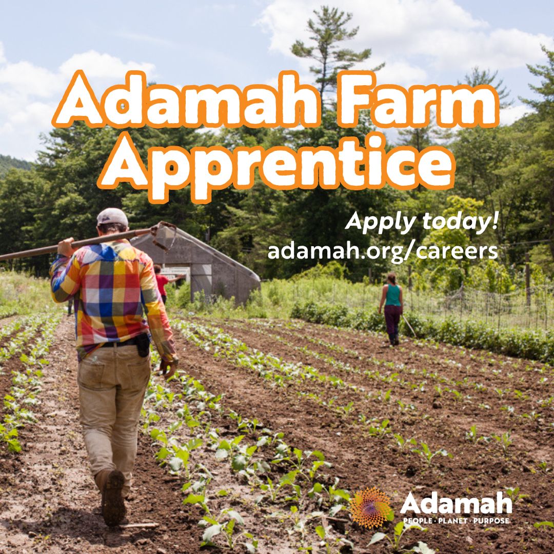 Join Adamah as a Farm Apprentice this May-Nov! You'll lead the Adamah Farm Fellows on our organic vegetable farm, support post-harvest handing of vegetables, contribute to educational programming, lead Avodat Lev (Service of the Heart), and so much more. buff.ly/49pdvAE