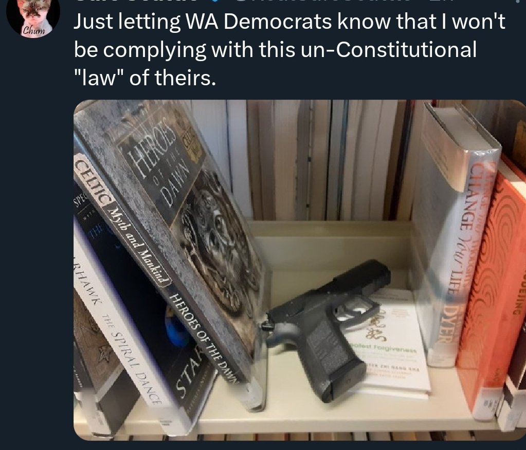 AlyciaRamirez3's tweet photo. Looking at that photo more closely...those look like Library tags from @KCLS on those books, which is also probably why the top part of those tags were blurred.
David Preston of #SafeSeattle placed his gun on a library shelf and took a photo..
@BrettHamil
@washdems https://t.co/ZZA3mb51ou