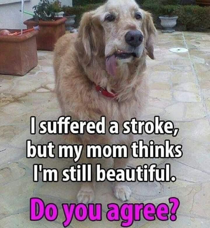 Do you agree ?