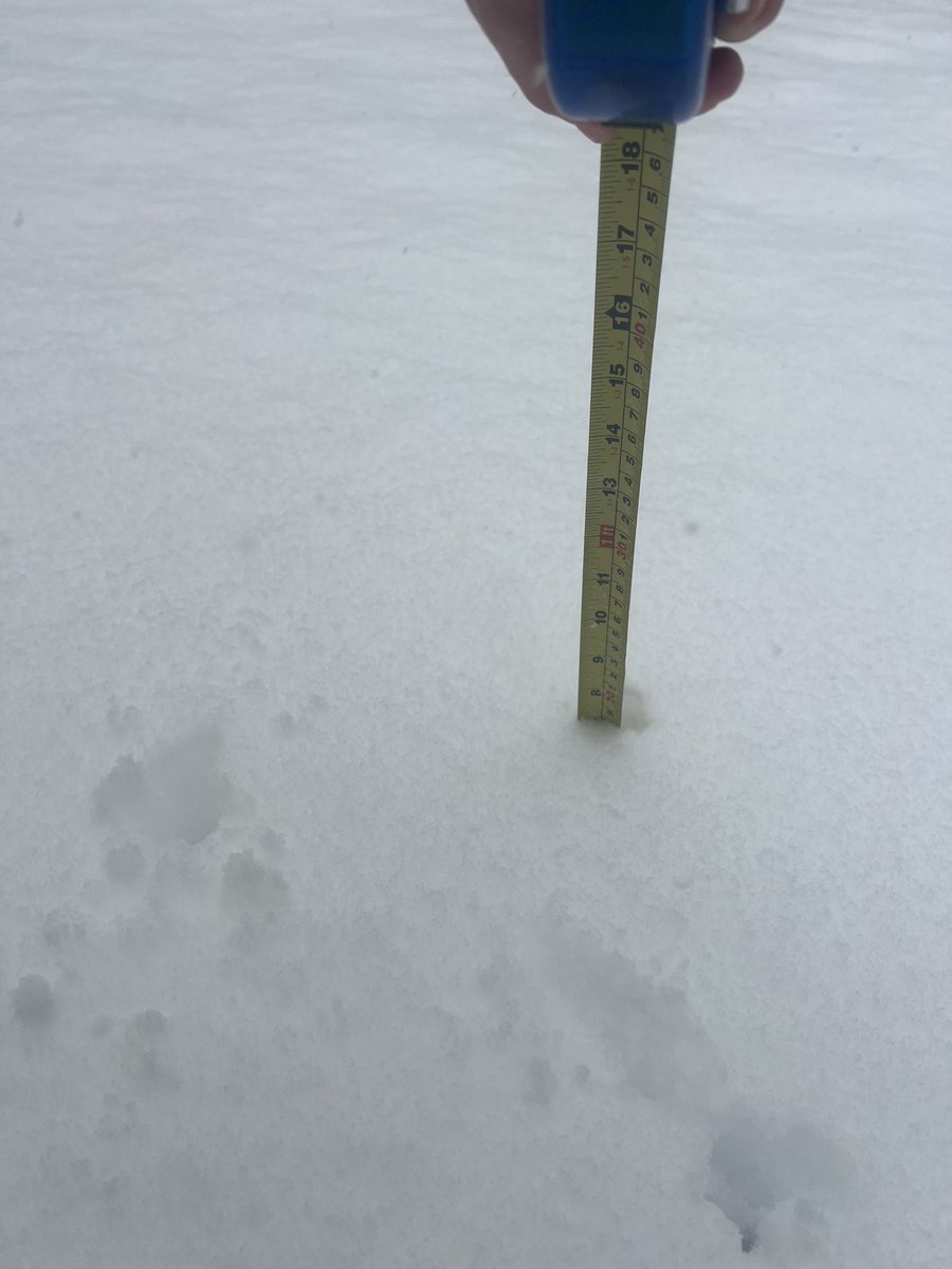 25_joshwhite's tweet photo. @ryanhanrahan @bobmaxon @RachelFrank_CT  7” goshen 9:30am https://t.co/paMJqR70v6