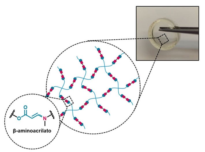 Liquid Crystals&Polymers Group: CLiP group tweet media