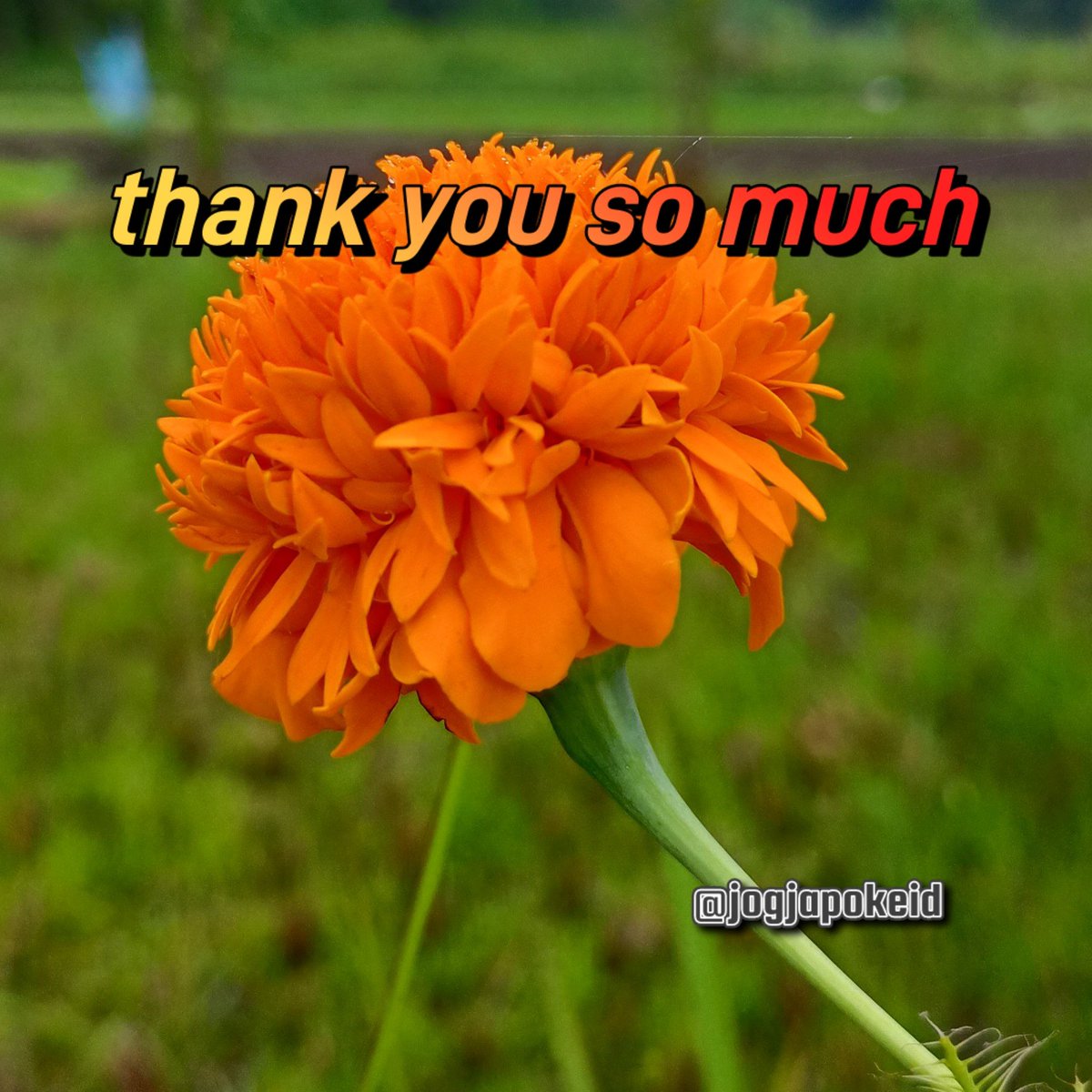 #TwFsClub
#F4F_Nusantara

thank you so much
⏩➽ <a href="/vinaymishra1961/">VINAY</a>

<a href="/botagain/">月面漫遊記</a>
<a href="/jogjapokeid/">jogjapokeid</a>
<a href="/TwFsClub/">Founder of ☀️ #TwFsClub</a>
<a href="/JrJuancho91/">juan rincon</a>
<a href="/kalimayafashion/">Santo</a>
<a href="/JULIOBETA/">JB </a>
<a href="/SANKALP_1964/">🇮🇳𝐊𝐔𝐌𝐀𝐑 𝐓𝐀𝐋𝐔𝐊𝐃𝐀𝐑 🇮🇳 💚🧡🧡🪴🖤🖤</a>
<a href="/sareed_ali/">Green Eyes</a>
<a href="/Saul_Costa02/">Saul Costa 🩵🤍</a>
@Saudi_Royal
<a href="/saviolatwit/">Nnadozie Saviour</a>
<a href="/Seaflower965H/">Hassan Amin</a>
<a href="/SecchiFabian/">Secchi Víctor Fabián</a>
<a href="/Selop_/">Sebastián 🛫</a>
<a href="/SeniorCancel/">Senior Cancel💎</a>
<a href="/Sergiomontoro5/">Sergio montoro 🇦🇺🇪🇸</a>