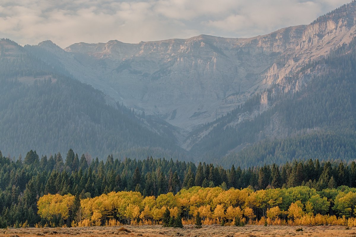 Interior's tweet photo. Last week, Interior announced more than $157 million to restore our nation’s lands and waters through locally led, landscape-scale restoration projects. This funding from the Bipartisan Infrastructure Law will support hundreds of projects across the country. https://t.co/1v9iaWArnn