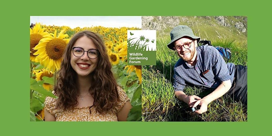 Join us this evening at 7pm to hear Francesca Martelli @ceschina__ tell us about 'Pollinators and People' and Tomos Jones @TomosJones92 on the @GardenEscapers project. Register here by donation - eventbrite.co.uk/e/pollinators-…