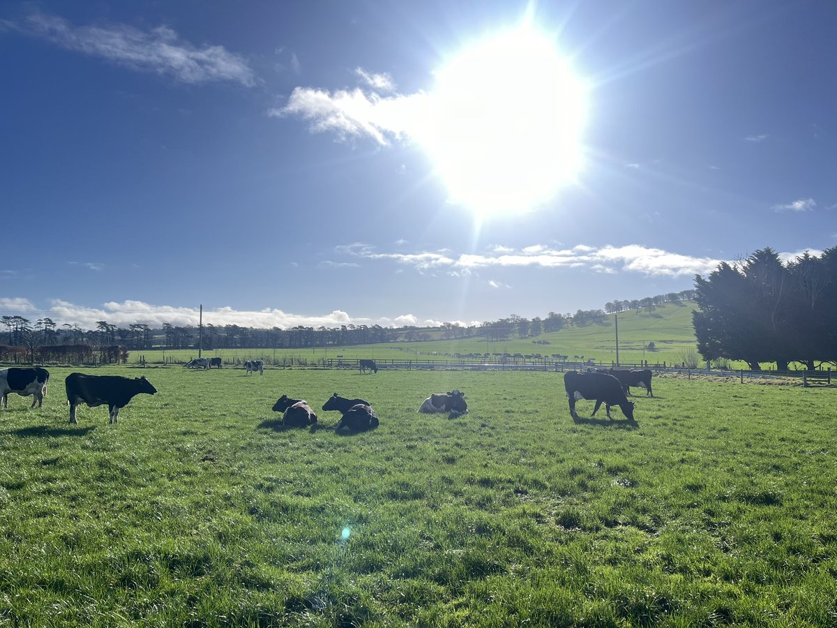 UCD Systems Herd tweet media